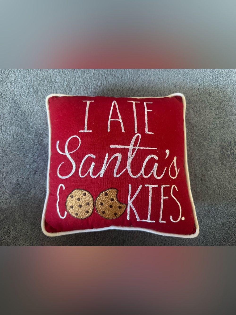 Cute/Funny Christmas Decorative Pillow